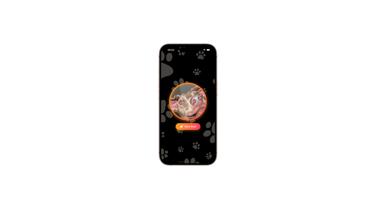 Image de présentation d’un écran iOS qui affiche une présantation du langage Swift